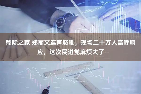 鼎际之家 郑丽文连声怒吼，现场二十万人高呼响应，这次民进党麻烦大了